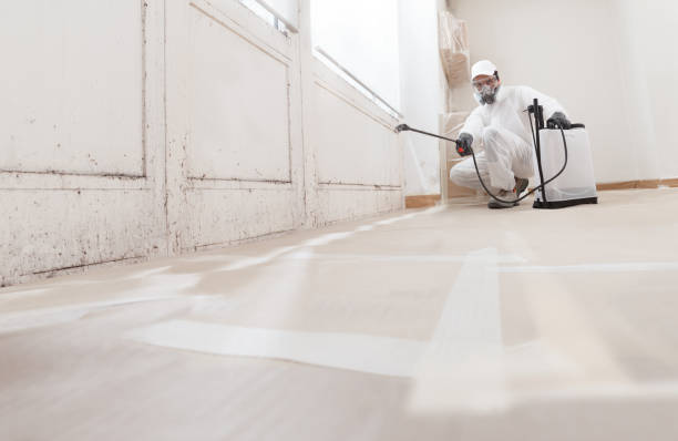 24/7 Emergency Mold Testing experts in Allentown, PA